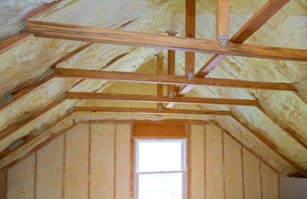 Best Specialized Insulation Services in Smithton, IL